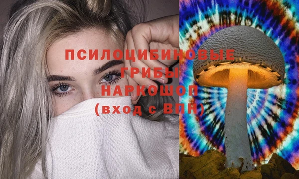 бутик Бородино